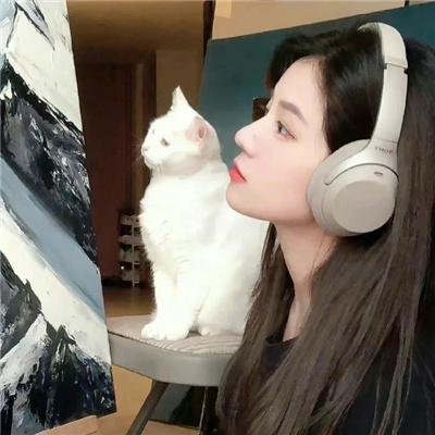 我是拳手