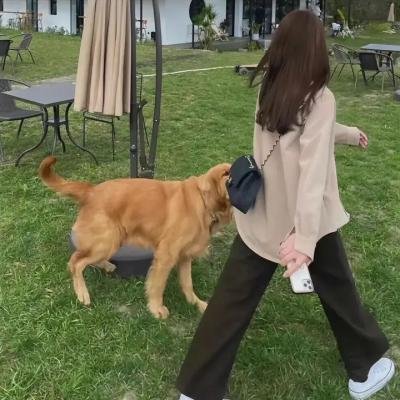 联邦调查局第二季